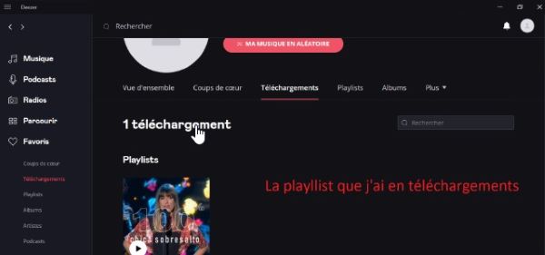 téléchargement musique Deezer