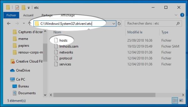 fichiers windows hosts
