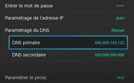 Définissez le dns