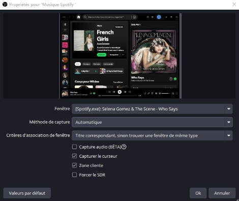 Spotify obs