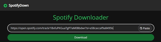 spotifydown paste link